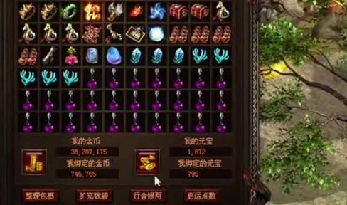 单职业传奇白野猪哪些地图比较多